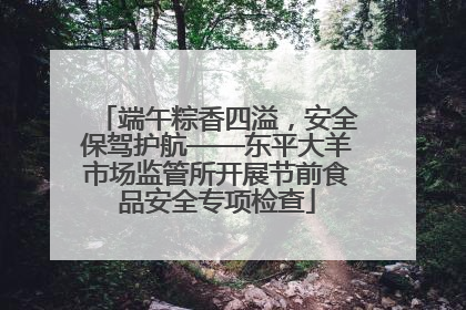 端午粽香四溢，安全保驾护航——东平大羊市场监管所开展节前食品安全专项检查