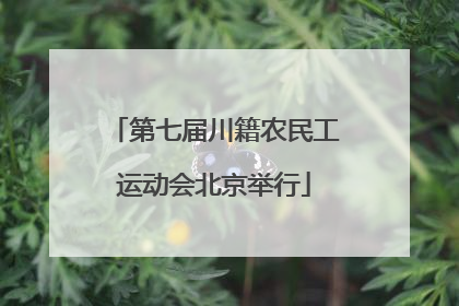 第七届川籍农民工运动会北京举行