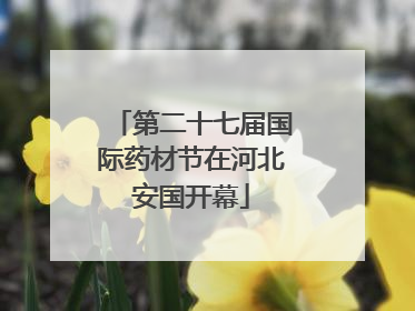 第二十七届国际药材节在河北安国开幕