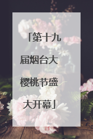 第十九届烟台大樱桃节盛大开幕