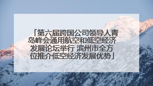 第六届跨国公司领导人青岛峰会通用航空和低空经济发展论坛举行 滨州市全方位推介低空经济发展优势