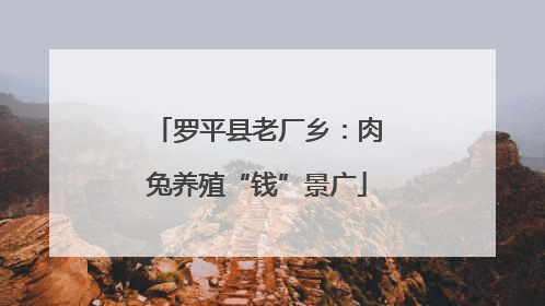 罗平县老厂乡：肉兔养殖“钱”景广