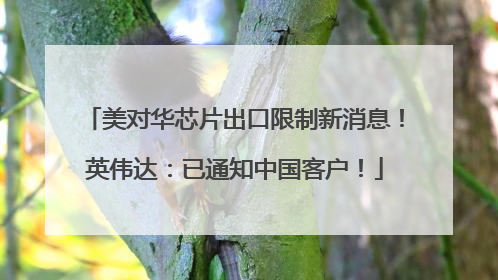 美对华芯片出口限制新消息！英伟达：已通知中国客户！
