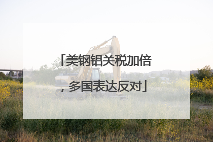 美钢铝关税加倍，多国表达反对