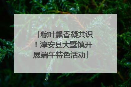 粽叶飘香凝共识！淳安县大墅镇开展端午特色活动