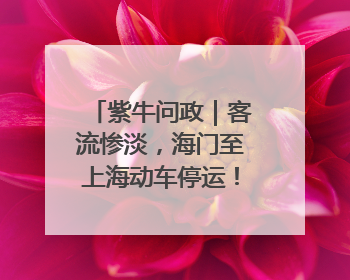 紫牛问政｜客流惨淡，海门至上海动车停运！市民出行不便，呼吁铁路部门恢复班次