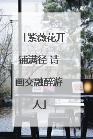 紫薇花开铺满径 诗画交融醉游人
