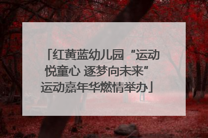红黄蓝幼儿园“运动悦童心 逐梦向未来”运动嘉年华燃情举办