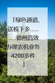 绿色通道、送检下乡…………德州高效办理农机业务4200多件