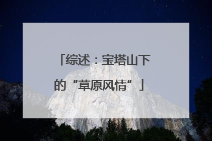 综述：宝塔山下的“草原风情”