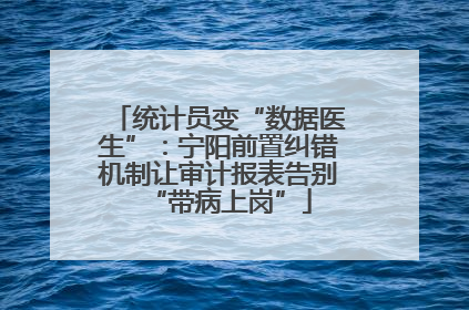统计员变“数据医生”：宁阳前置纠错机制让审计报表告别“带病上岗”