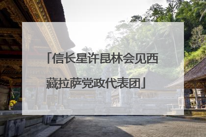 信长星许昆林会见西藏拉萨党政代表团