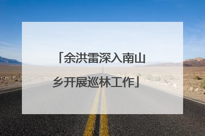 余洪雷深入南山乡开展巡林工作