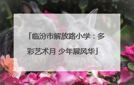 临汾市解放路小学：多彩艺术月 少年展风华