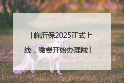 临沂保2025正式上线，缴费开始办理啦