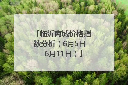 临沂商城价格指数分析（6月5日—6月11日）