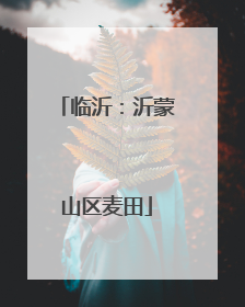 临沂：沂蒙山区麦田