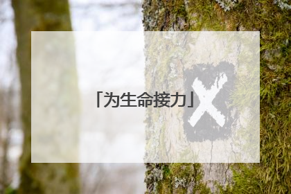 为生命接力