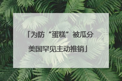 为防“蛋糕”被瓜分 美国罕见主动推销