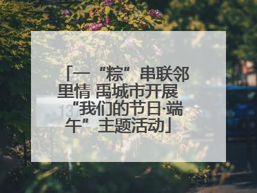 一“粽”串联邻里情 禹城市开展“我们的节日·端午”主题活动