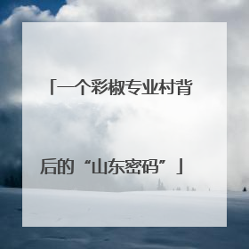 一个彩椒专业村背后的“山东密码”