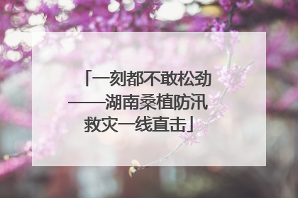 一刻都不敢松劲——湖南桑植防汛救灾一线直击