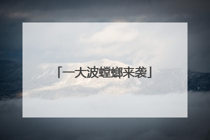 一大波螳螂来袭