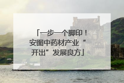 一步一个脚印！安图中药材产业“开出”发展良方