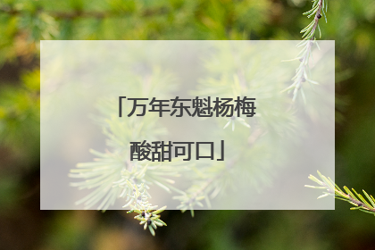 万年东魁杨梅 酸甜可口