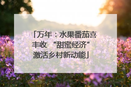 万年：水果番茄喜丰收 “甜蜜经济”激活乡村新动能