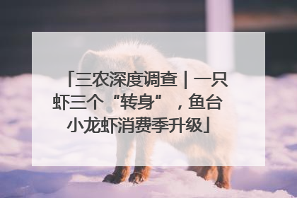 三农深度调查｜一只虾三个“转身”，鱼台小龙虾消费季升级