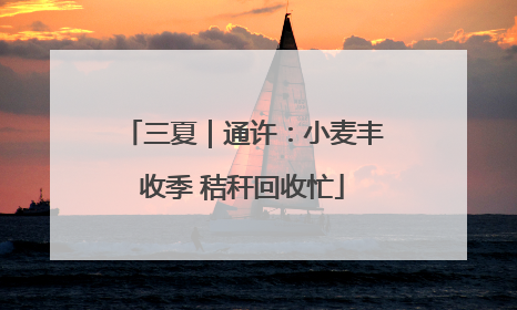 三夏｜通许：小麦丰收季 秸秆回收忙