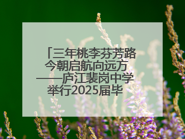 三年桃李芬芳路 今朝启航向远方——庐江裴岗中学举行2025届毕业典礼