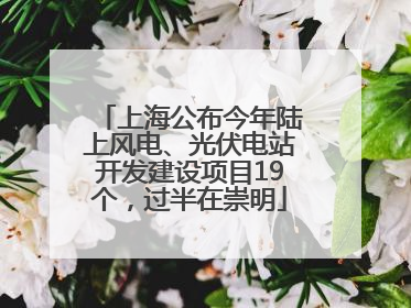 上海公布今年陆上风电、光伏电站开发建设项目19个，过半在崇明