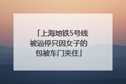 上海地铁5号线被逼停只因女子的包被车门夹住