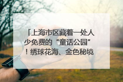 上海市区藏着一处人少免费的“童话公园”！绣球花海、金色秘境……地铁直达→