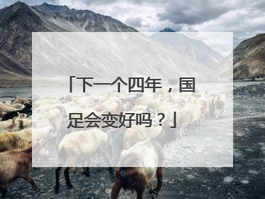 下一个四年，国足会变好吗？