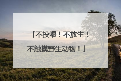 不投喂！不放生！不触摸野生动物！