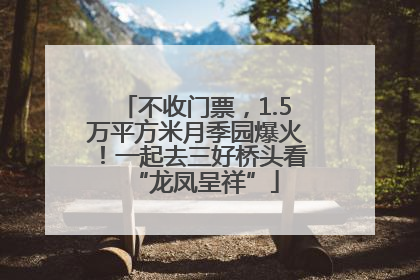 不收门票，1.5万平方米月季园爆火！一起去三好桥头看“龙凤呈祥”