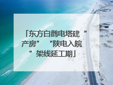 东方白鹳电塔建“产房” “陕电入皖”架线延工期