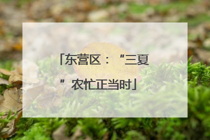 东营区：“三夏”农忙正当时