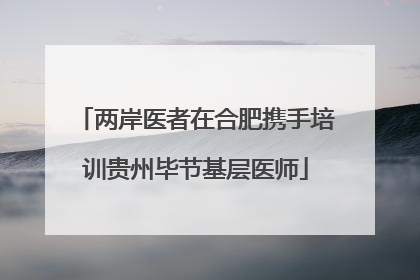两岸医者在合肥携手培训贵州毕节基层医师