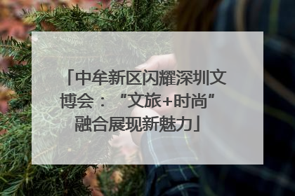 中牟新区闪耀深圳文博会：“文旅+时尚”融合展现新魅力