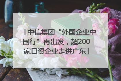 中信集团“外国企业中国行”再出发，超200家日资企业走进广东