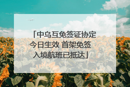 中乌互免签证协定今日生效 首架免签入境航班已抵达