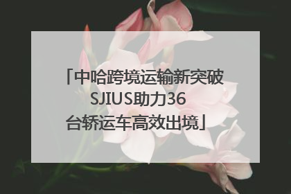 中哈跨境运输新突破 SJIUS助力36台轿运车高效出境
