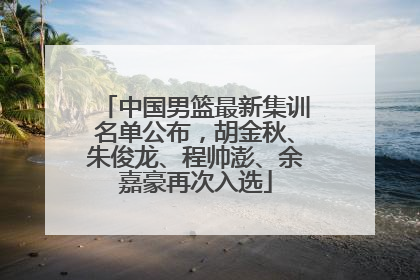 中国男篮最新集训名单公布，胡金秋、朱俊龙、程帅澎、余嘉豪再次入选