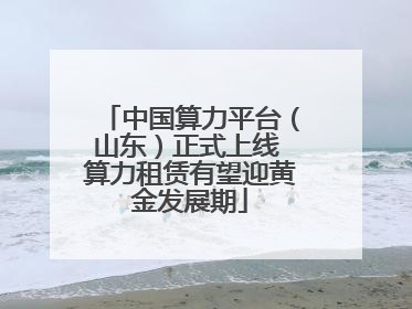 中国算力平台（山东）正式上线 算力租赁有望迎黄金发展期