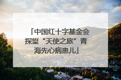 中国红十字基金会探望“天使之旅”青海先心病患儿