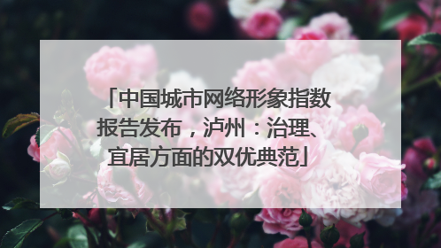 中国城市网络形象指数报告发布，泸州：治理、宜居方面的双优典范